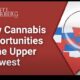 midwest cannabis opportunities